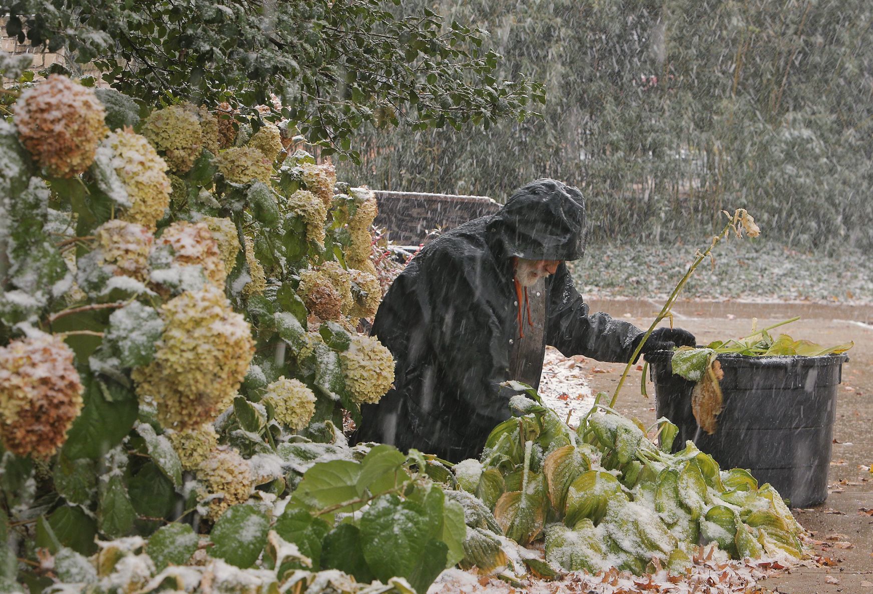 First snow covers the Zoo